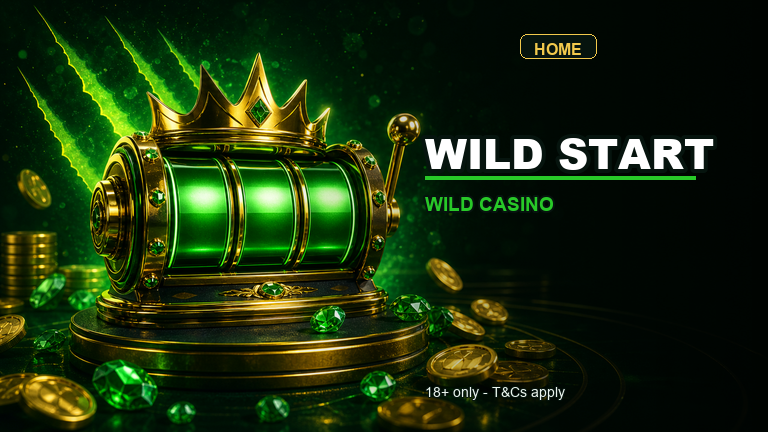 Wild Casino welcome offer scene with slots and coins